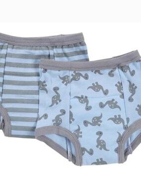 i play. Boys' Green Sprouts by Training Underwear, 2 Pack, Gray Dino (2pk), 4T